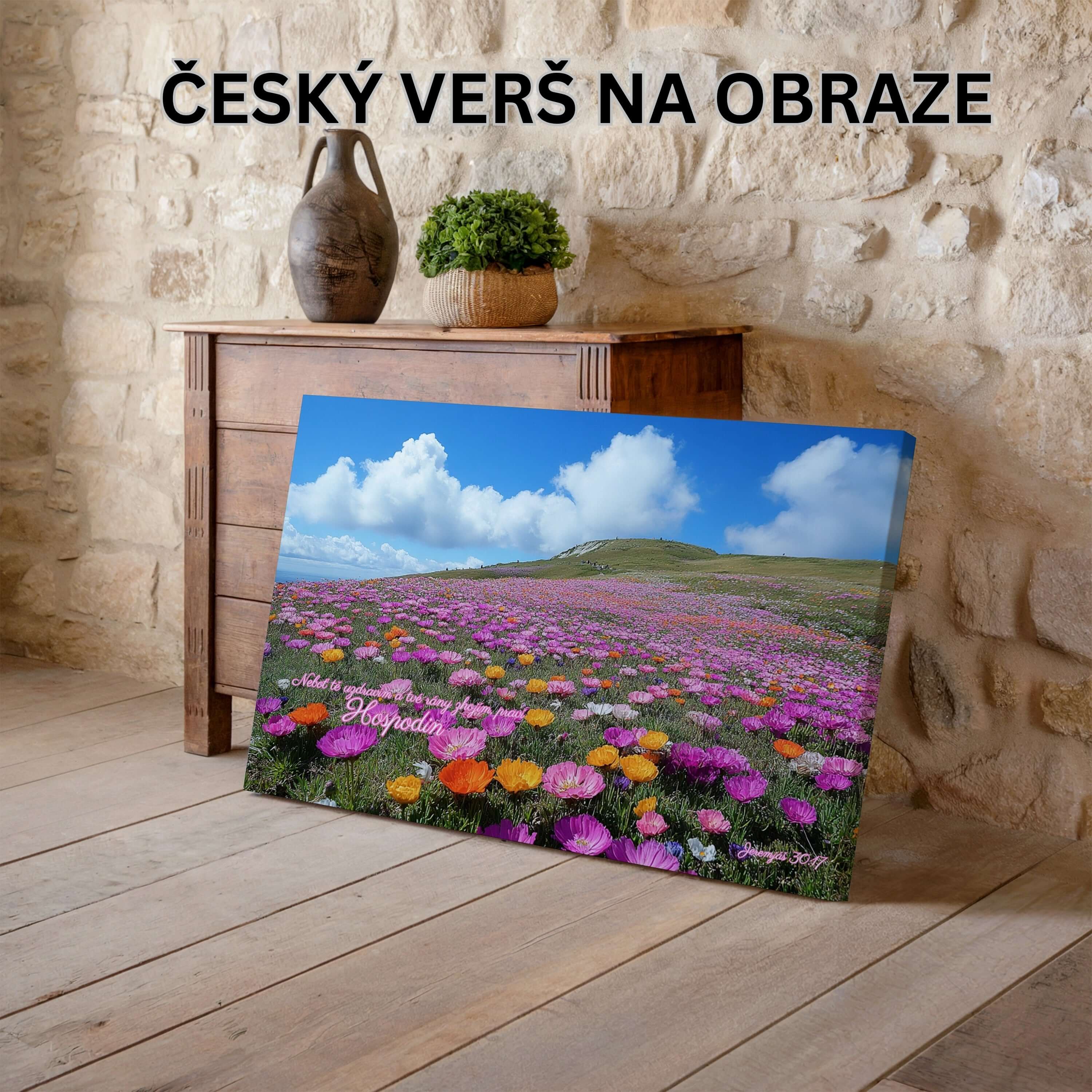 Nebo uzdravím tě a zahojím tvé rány, praví Hospodin - Jeremiáš 30:17|Obraz na zeď